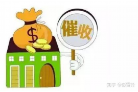 攸县如何避免债务纠纷？专业追讨公司教您应对之策